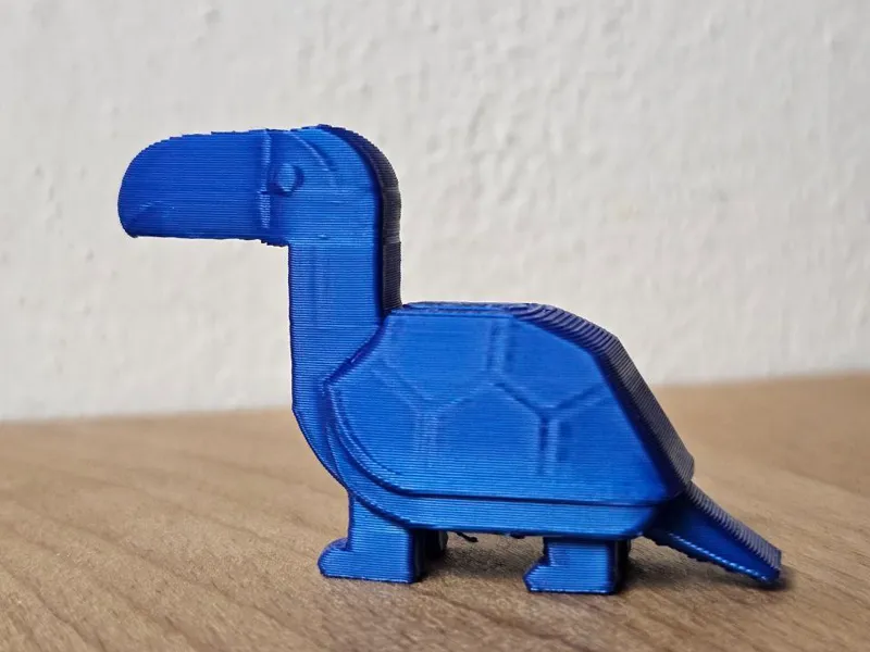 Turtle Toucan