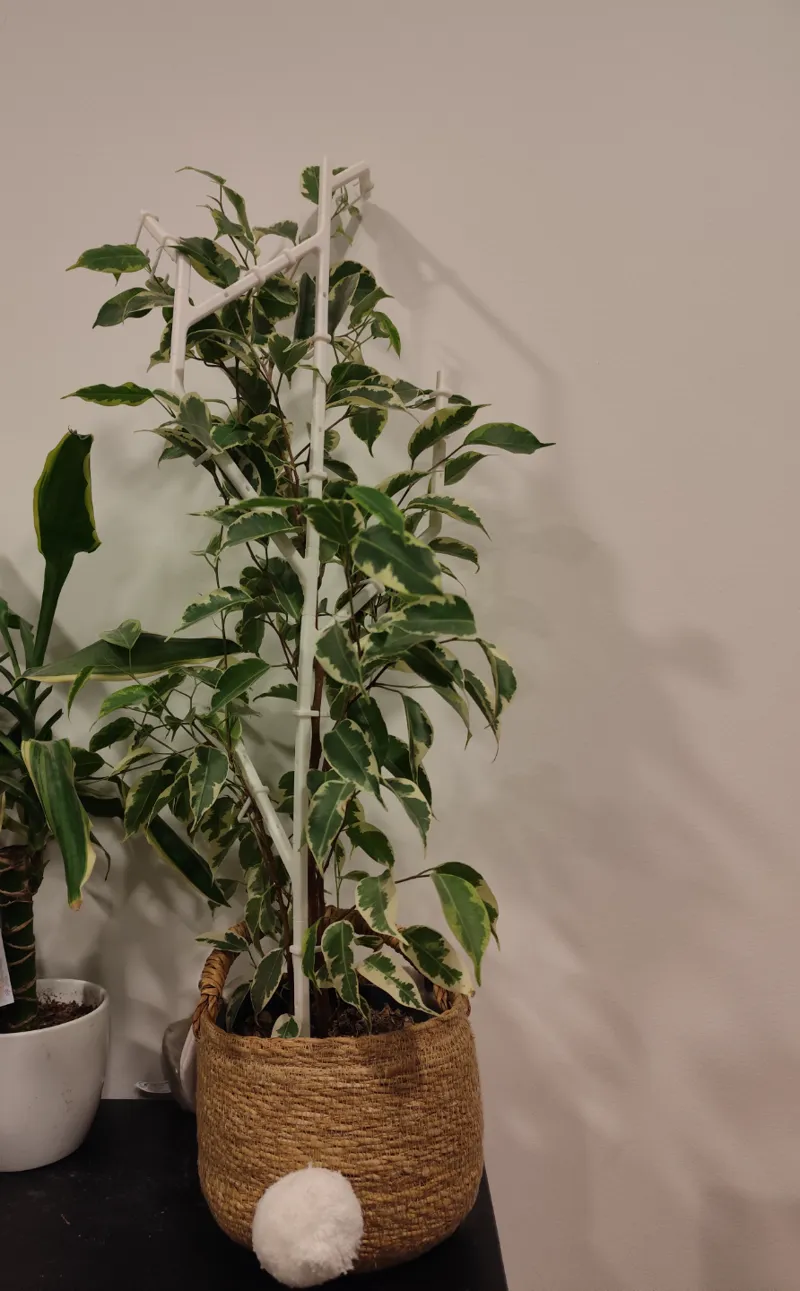 Modular plant support stakes