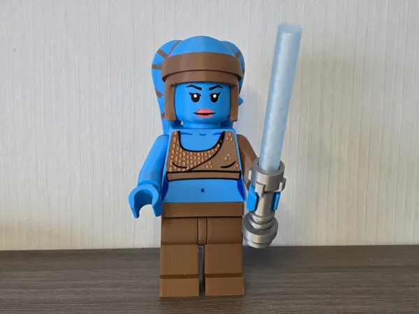https://makerworld.bblmw.com/makerworld/model/USb893ccaabeb54e/design/9cc8675df27a505d.jpg