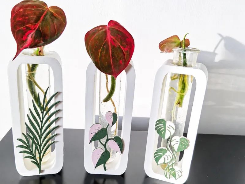 plant propagation