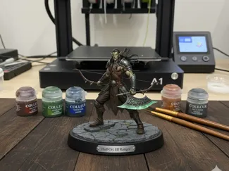 Half_Orc D&D