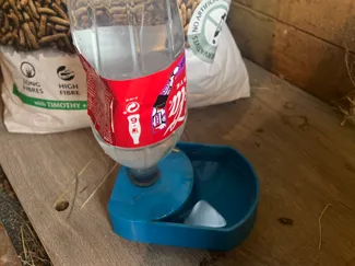 Water dispenser for pets
