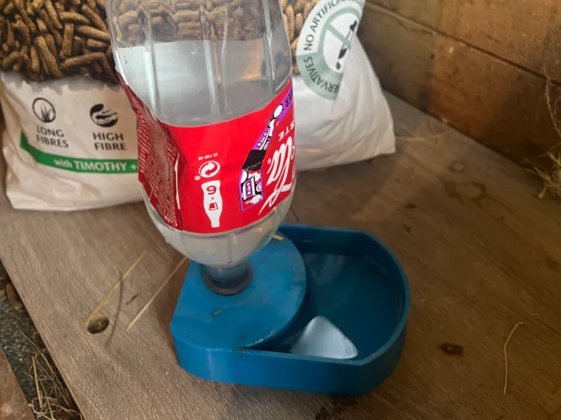 Water dispenser for pets