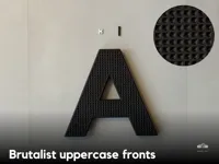 Brutalist uppercase fronts