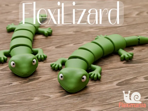 https://makerworld.bblmw.com/makerworld/model/USb8a441c067e4d3/design/2025-05-30_899cf261f4806.jpg