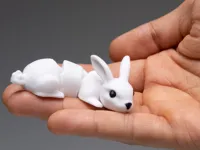 Multicolor Print Profile 0.20mm