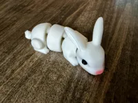 Bunny with Pink Nose