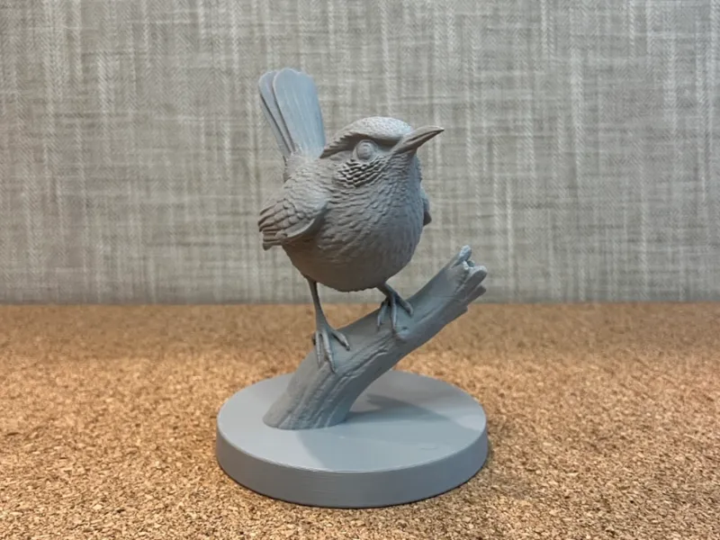 Carolina Wren
