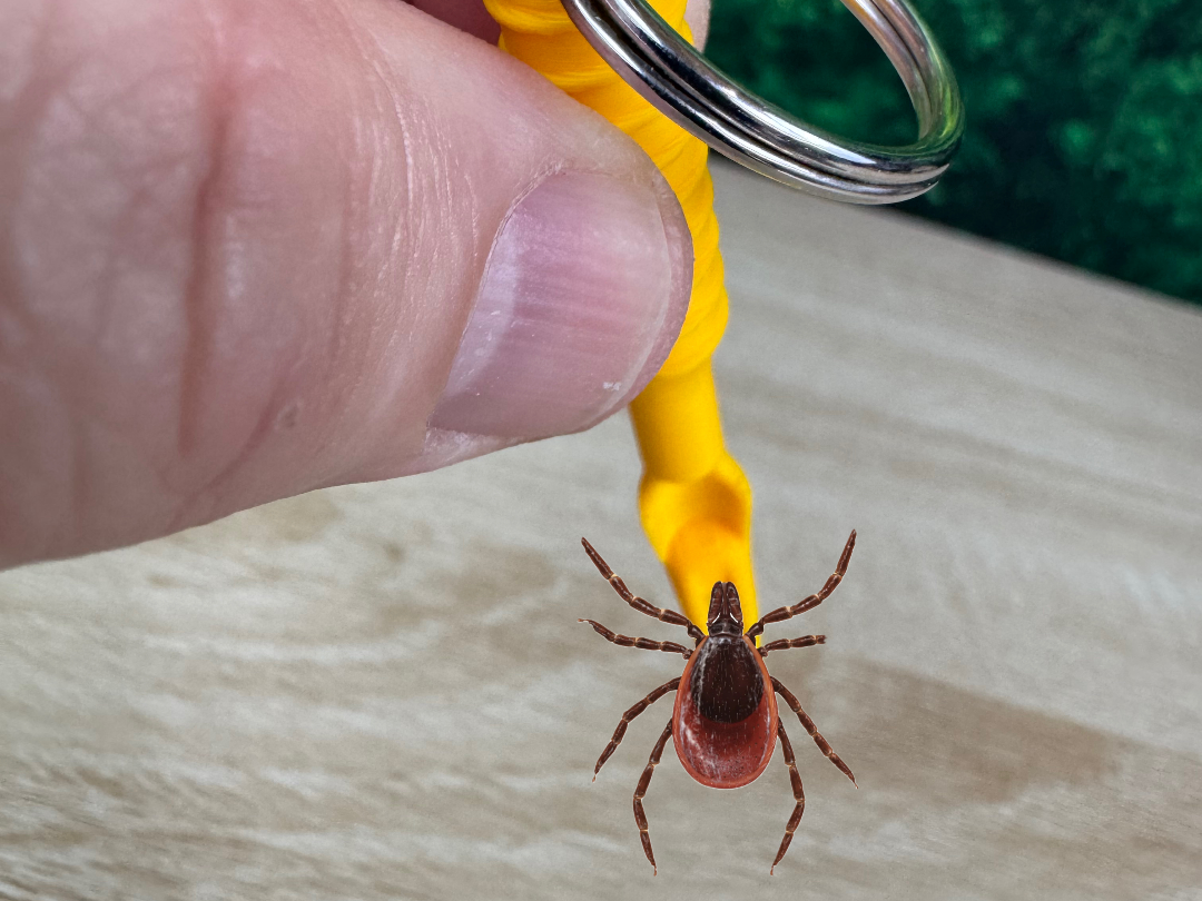 Tick Away