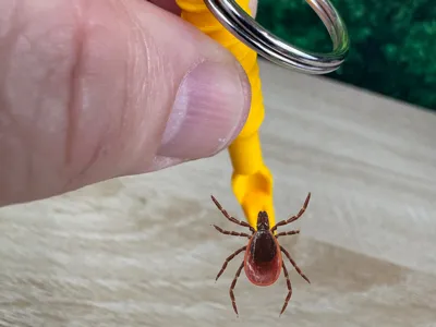 Tick Away