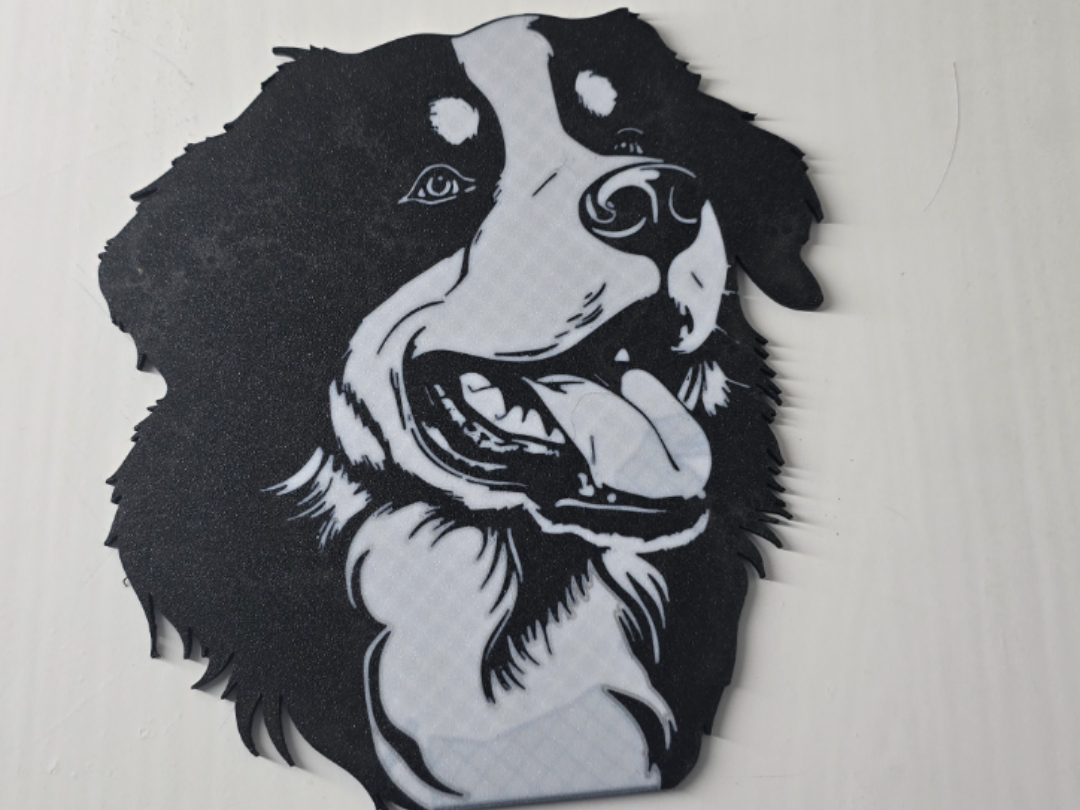 Bernese mountain dog wall art  