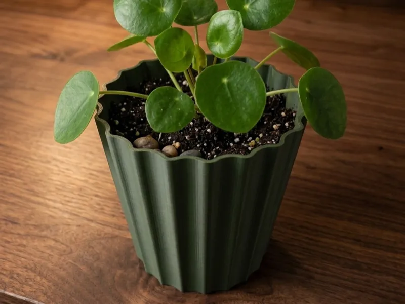 Small Plant Pot