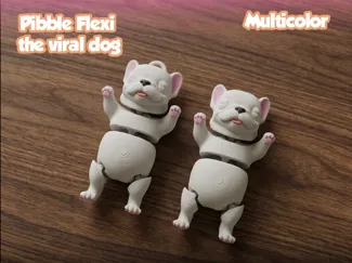 Pibble Flexi, the viral dog - Multi Color