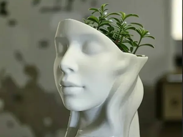 https://makerworld.bblmw.com/makerworld/model/USb8babea7d3e575/design/2024-12-07_d3c67629b75a3.jpg