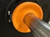 2 x 0.10 kg plates