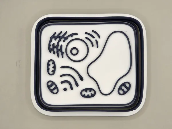 https://makerworld.bblmw.com/makerworld/model/USb8bf39bcfc7952/design/2026-01-01_db719c59eab85.jpeg