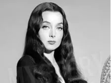 BOOK NOOK Morticia Addams originale anni 60