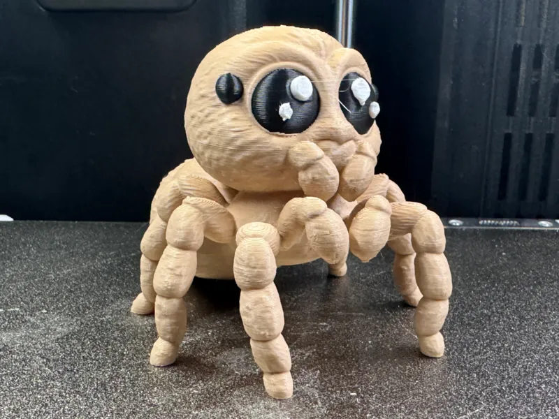 The Cutest Jumping Spider