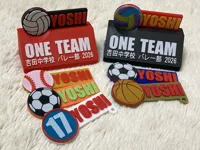 Porte-clés souvenir de fin de club (volley, foot, baseball, basket) — photo 1