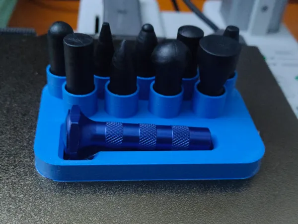 https://makerworld.bblmw.com/makerworld/model/USb8c5550c68c69c/design/2025-12-24_9979a97bc4ca1.jpg