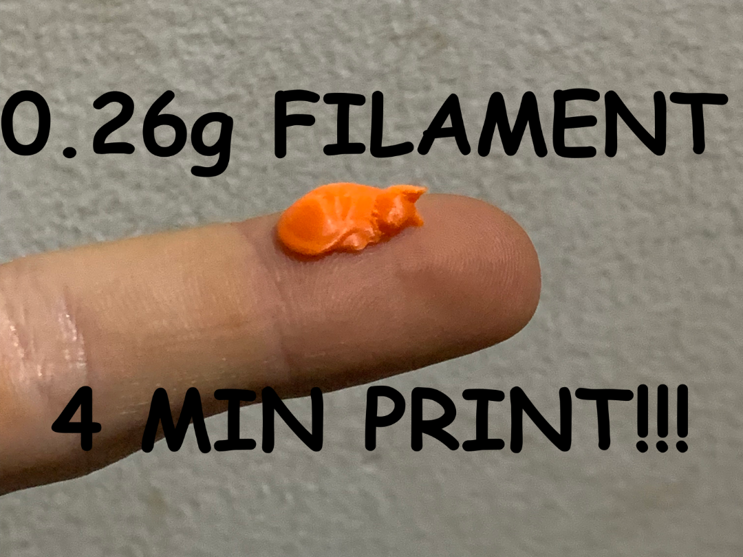 Mini Sleeping Kitten Buddy, Fast Print!