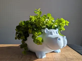 Happy Hippo Flower pot