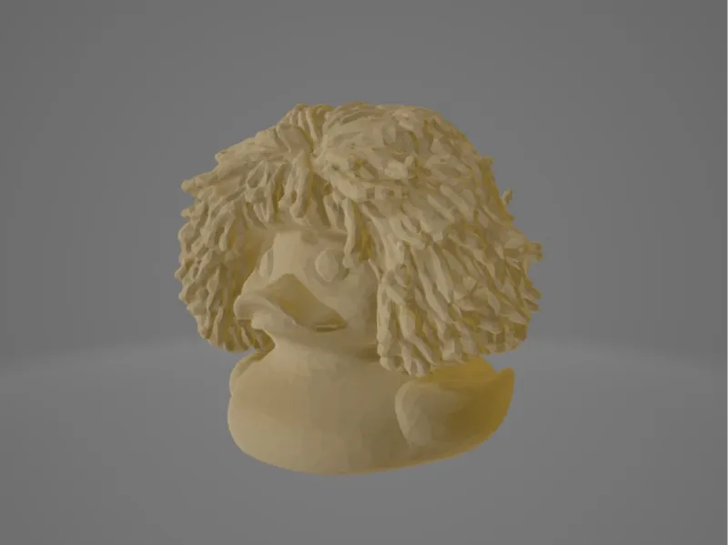 Duck with hair
