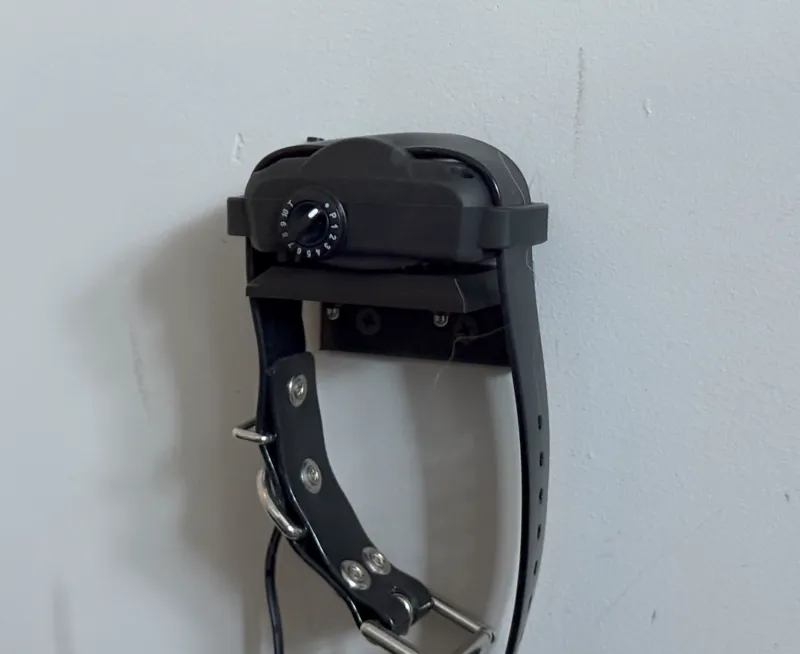 Dogtra Bark Collar Wall Mount - YS600