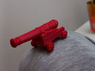 Pirate's cannon
