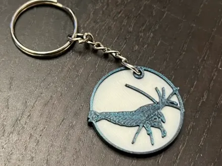 https://makerworld.bblmw.com/makerworld/model/USb8db4ff8e9083/design/2024-10-13_359d2114b3d1e.jpeg
