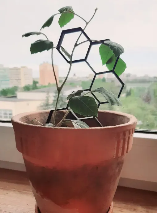 https://makerworld.bblmw.com/makerworld/model/USb8db878d5f0e7c/design/2023-09-22_0823ce4506f9e.png