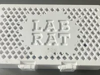 0.2mm nozzle, 0.1mm layer, 4 walls, 10% infill