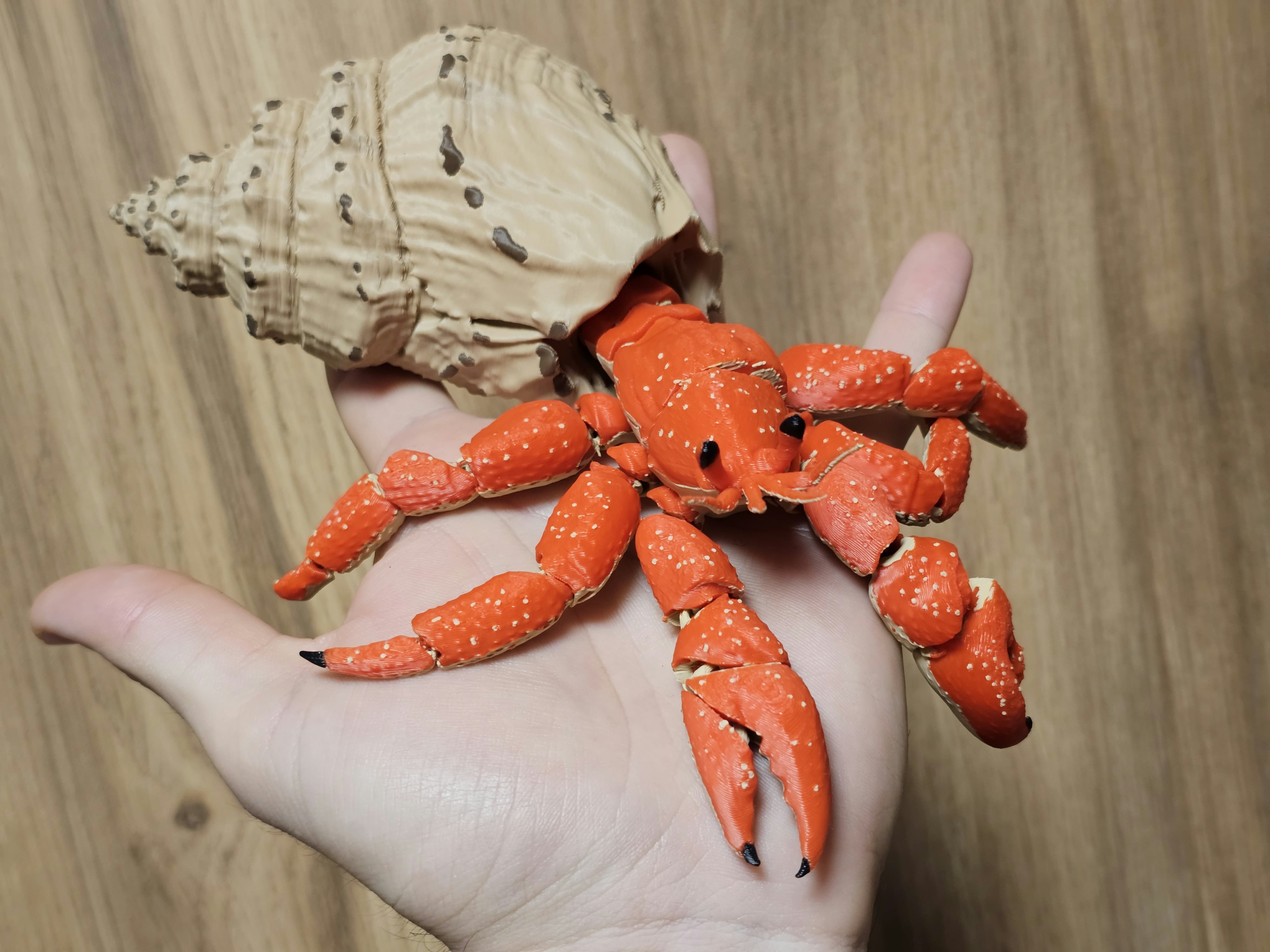 Sea Creature - Hermit Crab Ⓢ - 1