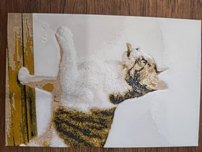 Another cat portrait