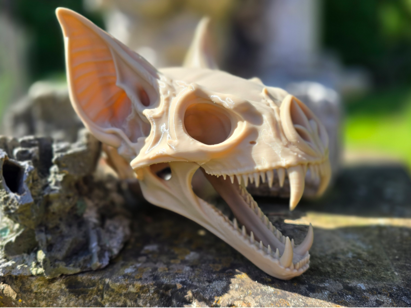 Fledermaus-Schädel / Fantasy Skull / 2 Varianten