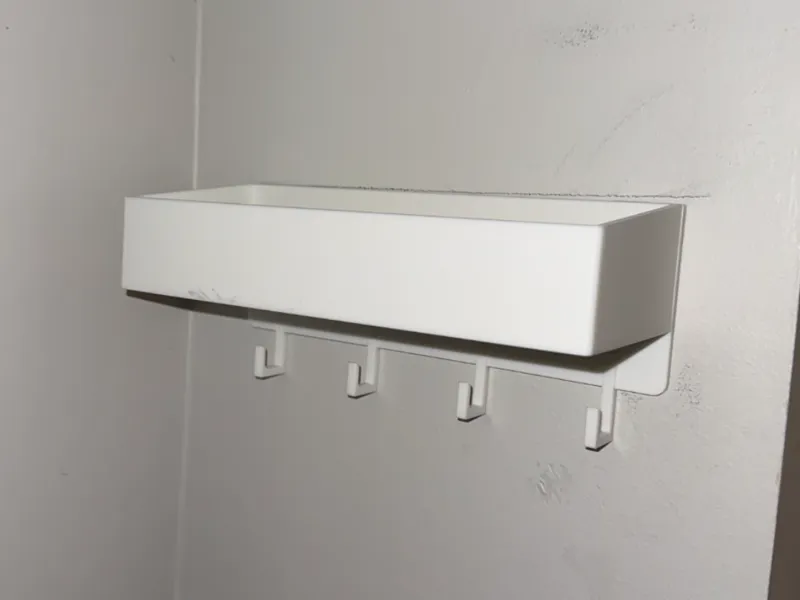 Wall-Mounted Storage Tray with Hooks