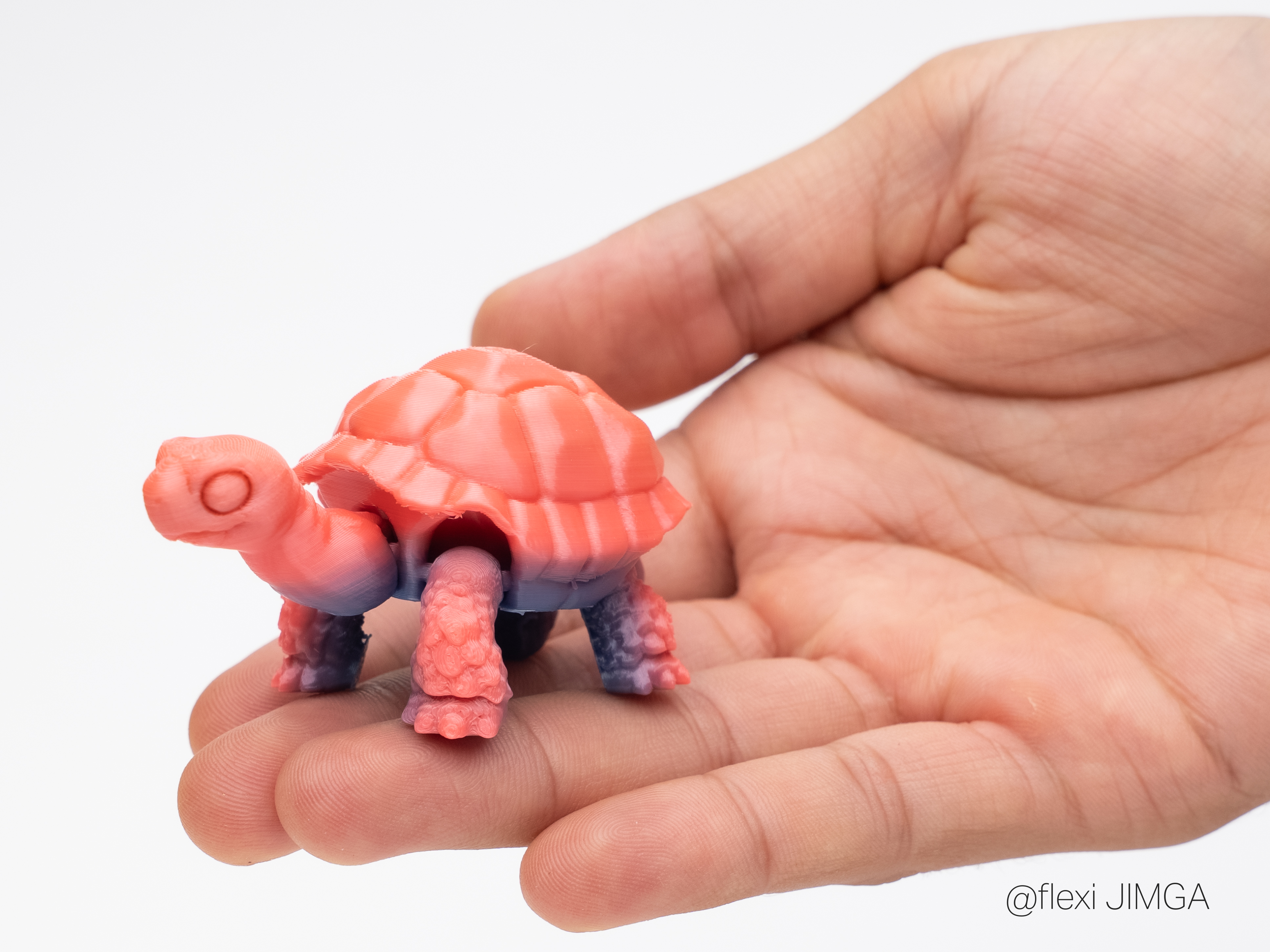 Miniatura 1 do modelo 3D Mini Flexi Galapagos Tortoise
