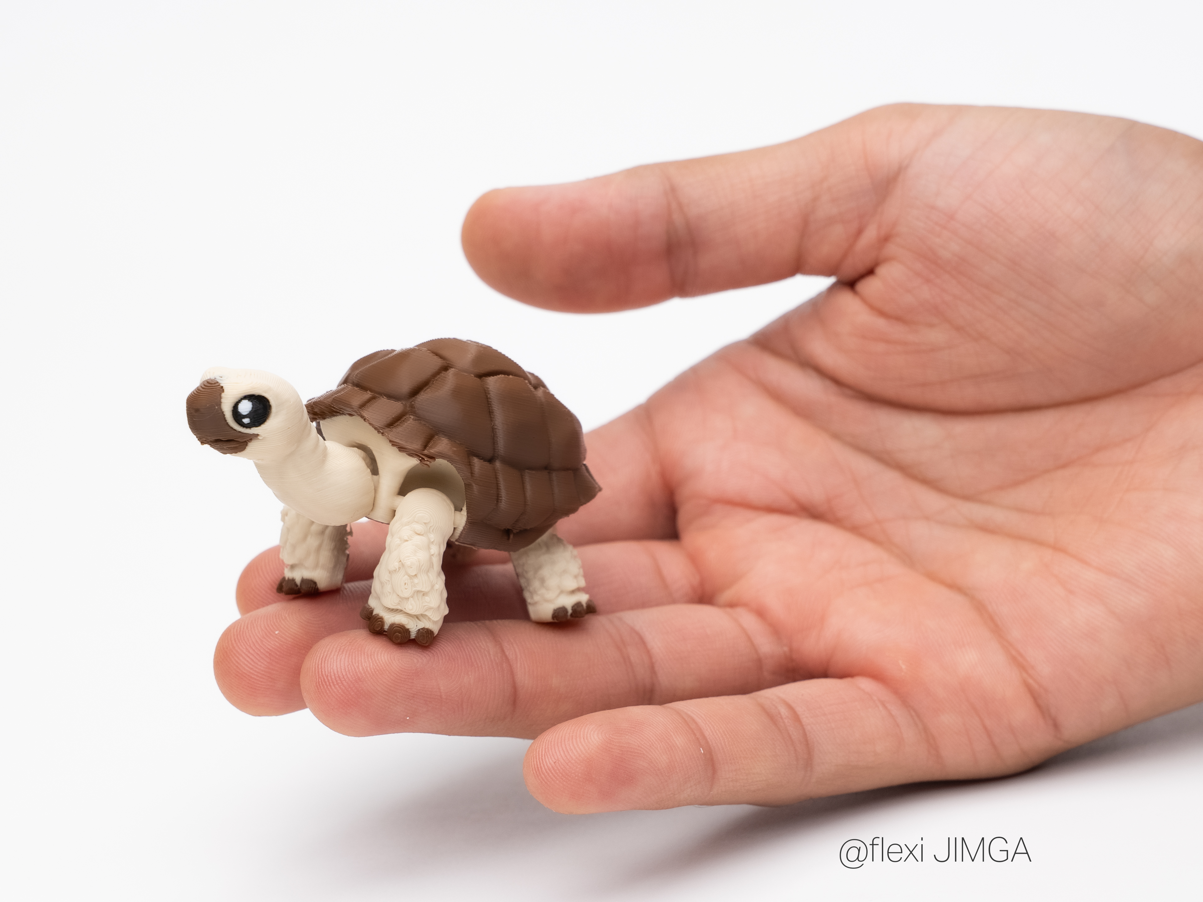 Miniatura 2 do modelo 3D Mini Flexi Galapagos Tortoise