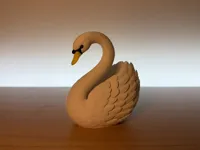 Swan_Multi Color