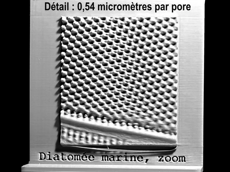 Projet microphotographies de diatomées
