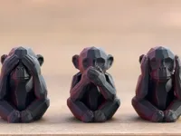 h5 cm