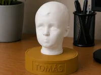 0.08mm layer, 2 walls, 8% infill
