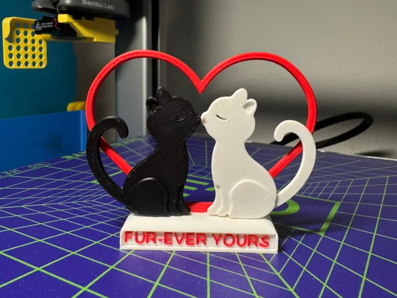Fur-ever Yours – Cat Valentine Gift (50min print)