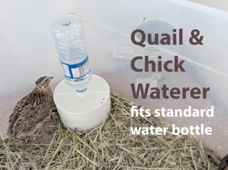Adult Quail and Chick Water Feeder for bottle 