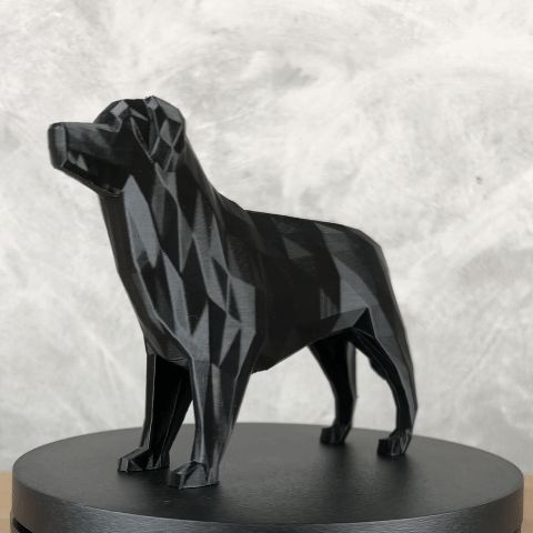 Bernese Mountain Dog Low Poly
