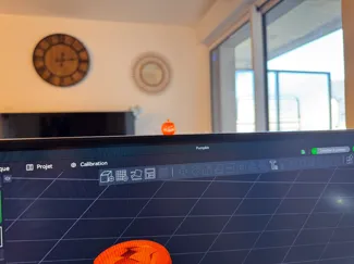 Mini Pumpkin 