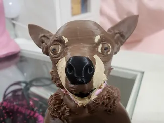 My Dog