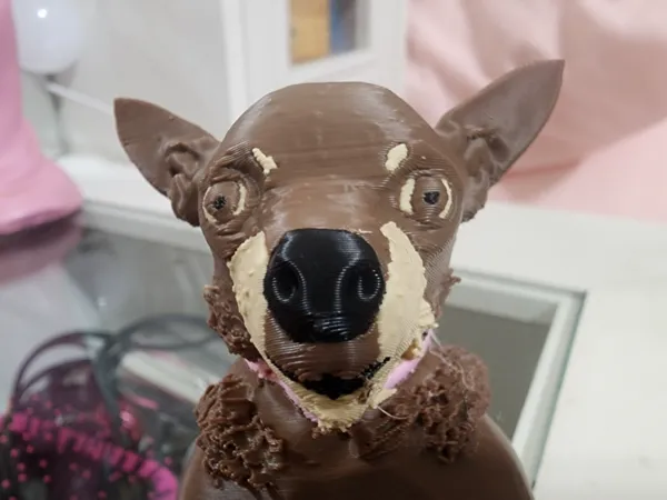 https://makerworld.bblmw.com/makerworld/model/USb9035e7e2a452b/design/2025-03-26_76d45645a3af4.jpg