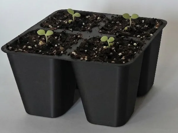 https://makerworld.bblmw.com/makerworld/model/USb909528f7f59ae/design/ae34b49e44c9eae9.png