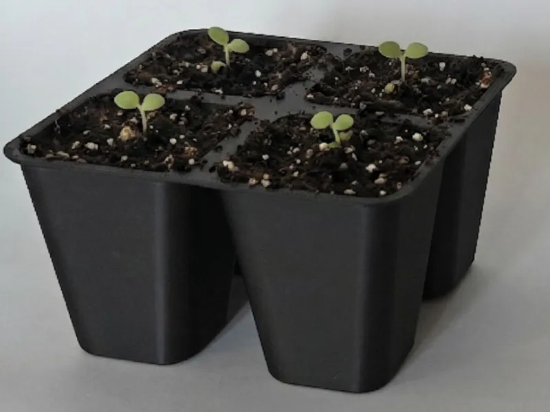 Plant Seedling Starter Tray Standard 45mm 14 Sizes